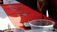 【文明城市你我共建】清水县开展国际意愿者日