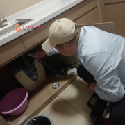 <b>2025年12月无害生物防治保举：系统化防护室第贸</b>